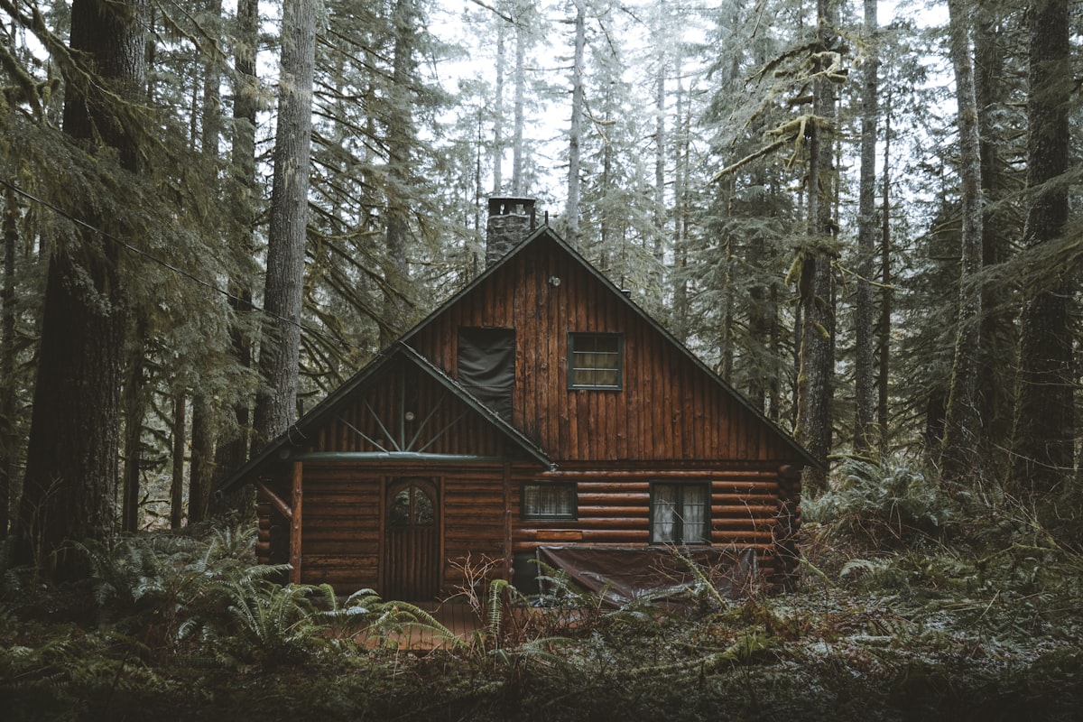 Forest Nest Party Farm Stay